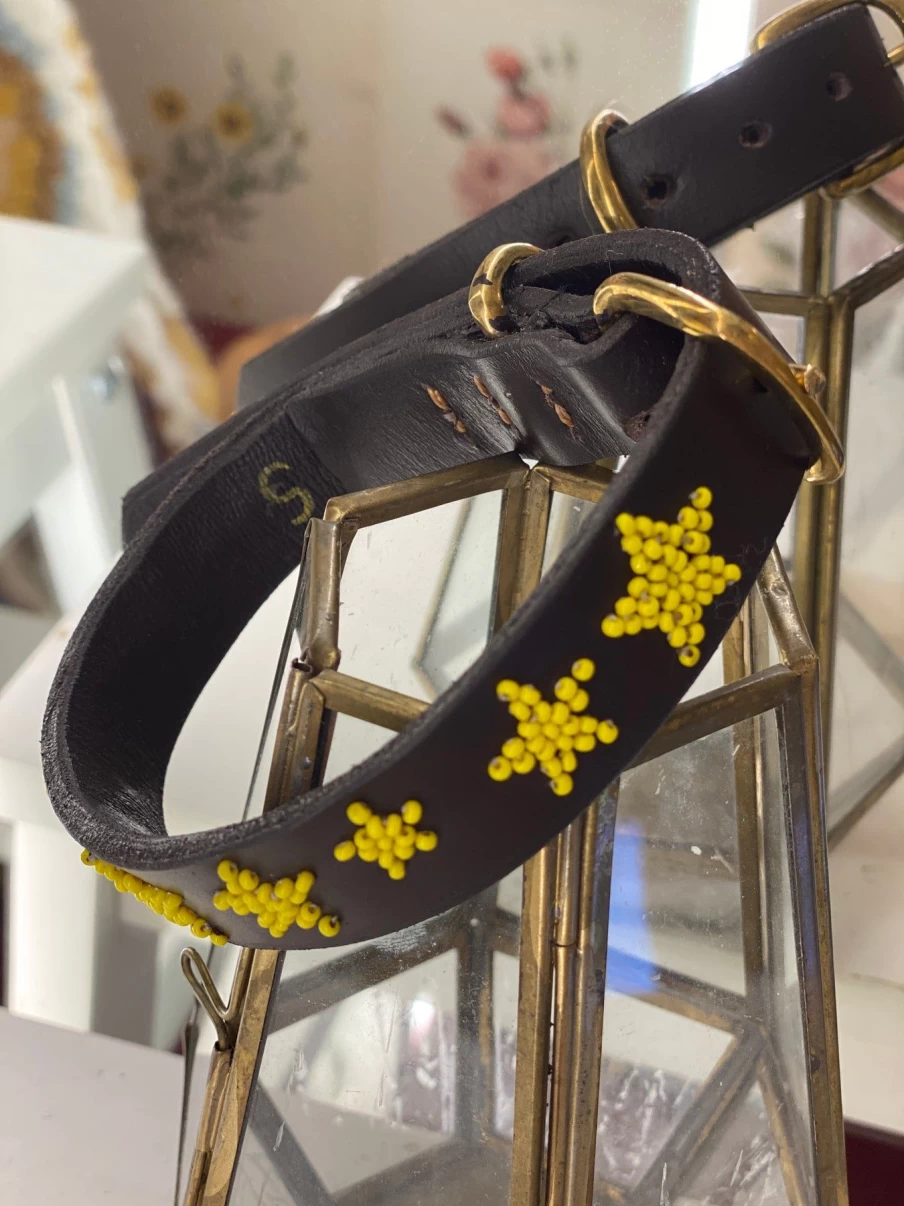 The Jacksons Reflective Dog Collar with Yellow Stars - Safe & Stylish Pet Accessory