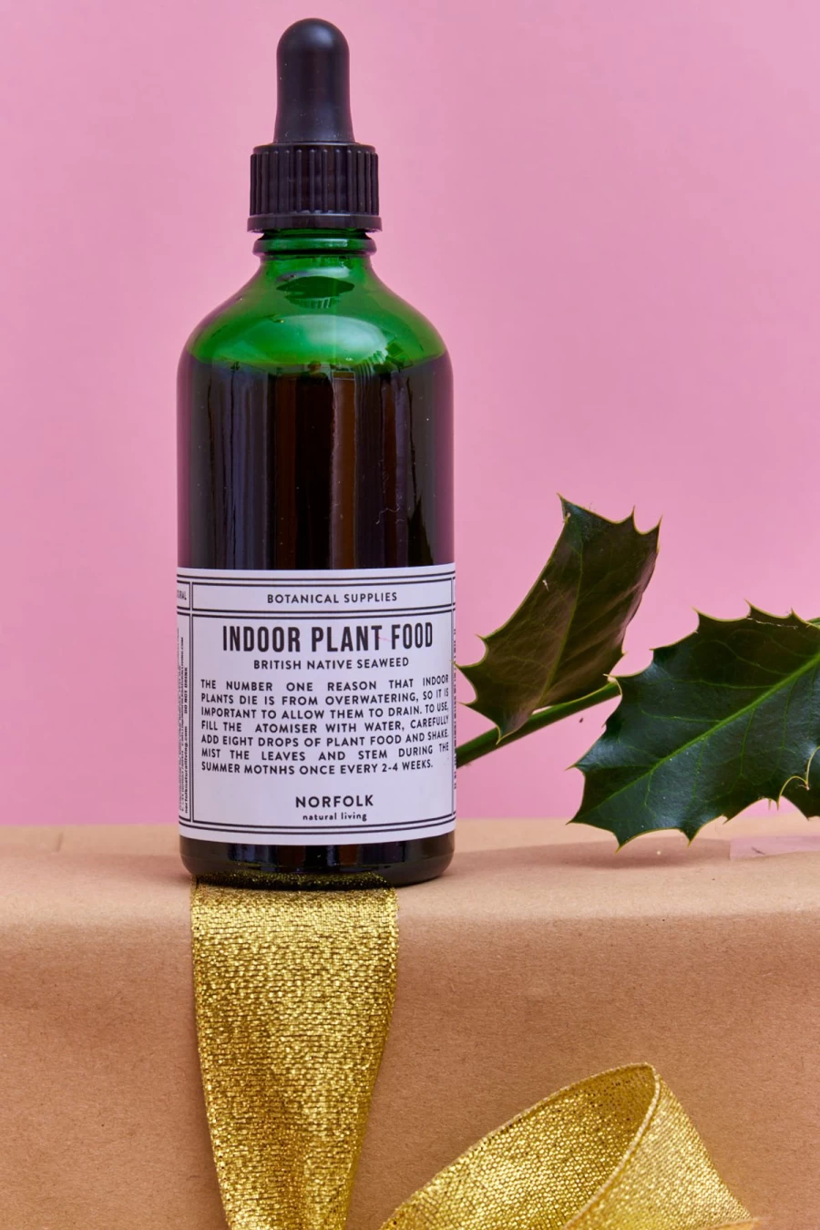Atlantic Folk Indoor Plant Food Fertilizer - 100mL Liquid Nutrient for Houseplants | Promotes Healthy Growth